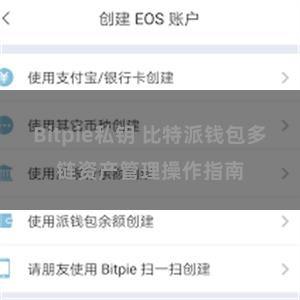 Bitpie私钥 比特派钱包多链资产管理操作指南