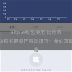 Bitpie钱包使用 比特派钱包多链资产管理技巧：全面攻略