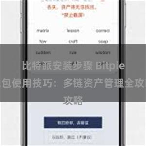 比特派安装步骤 Bitpie钱包使用技巧：多链资产管理全攻略