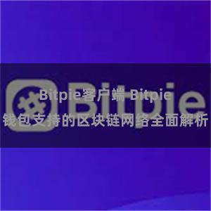 Bitpie客户端 Bitpie钱包支持的区块链网络全面解析