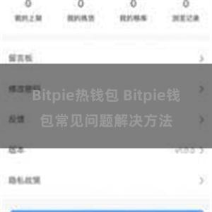 Bitpie热钱包 Bitpie钱包常见问题解决方法