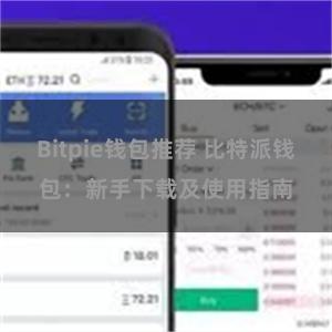 Bitpie钱包推荐 比特派钱包：新手下载及使用指南