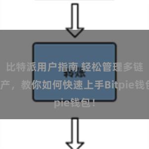 比特派用户指南 轻松管理多链资产，教你如何快速上手Bitpie钱包！