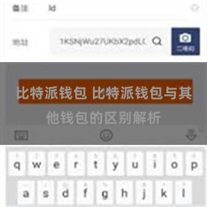 比特派钱包 比特派钱包与其他钱包的区别解析