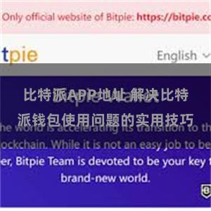 比特派APP地址 解决比特派钱包使用问题的实用技巧