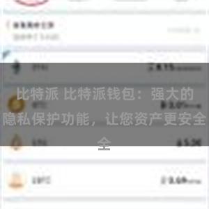 比特派 比特派钱包：强大的隐私保护功能，让您资产更安全
