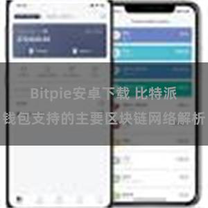 Bitpie安卓下载 比特派钱包支持的主要区块链网络解析