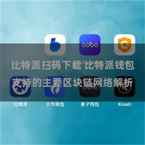 比特派扫码下载 比特派钱包支持的主要区块链网络解析