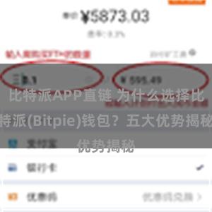 比特派APP直链 为什么选择比特派(Bitpie)钱包？五大优势揭秘