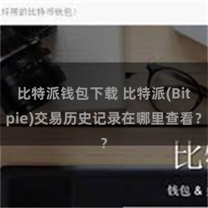 比特派钱包下载 比特派(Bitpie)交易历史记录在哪里查看？