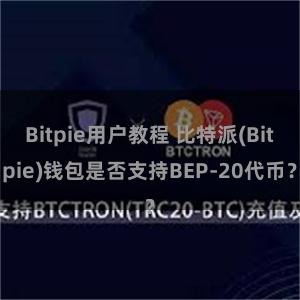 Bitpie用户教程 比特派(Bitpie)钱包是否支持BEP-20代币？