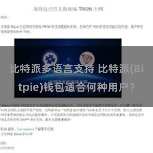 比特派多语言支持 比特派(Bitpie)钱包适合何种用户？