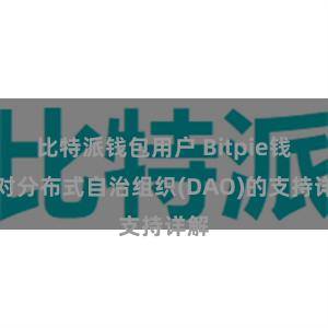 比特派钱包用户 Bitpie钱包对分布式自治组织(DAO)的支持详解