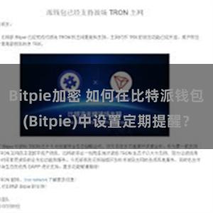 Bitpie加密 如何在比特派钱包(Bitpie)中设置定期提醒？