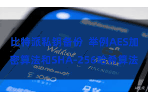 比特派私钥备份  举例AES加密算法和SHA-256哈希算法